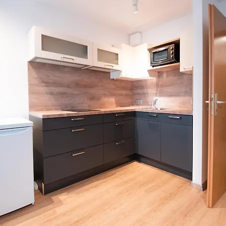 Moderne Einraumwohnung In Mit Netflix Zugang * Leipzig