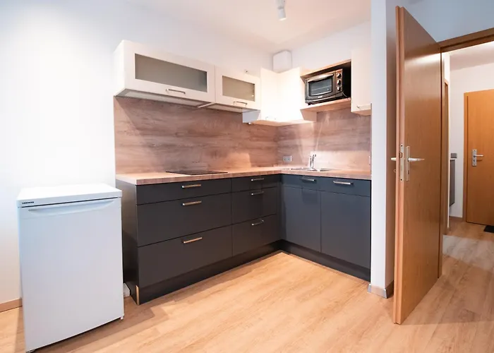 Moderne Einraumwohnung In Mit Netflix Zugang * Leipzig