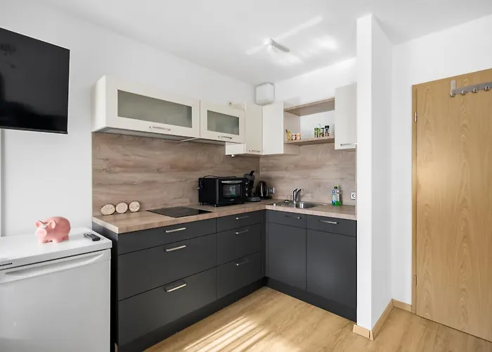 Moderne Einraumwohnung In Mit Netflix Zugang * Лейпциг