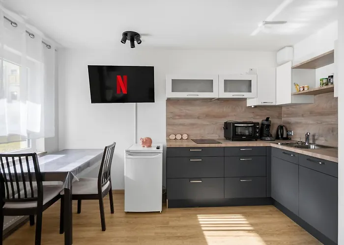Апартаменты Moderne Einraumwohnung In Mit Netflix Zugang Лейпциг